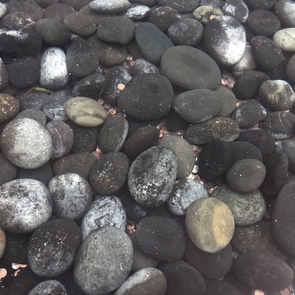 Meet your Posher, Sarai - Picture 2 of 2